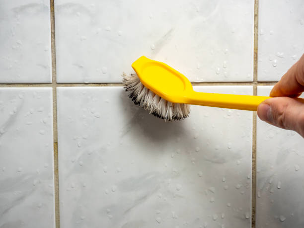 Best Mold Testing  in Riverside, IA
