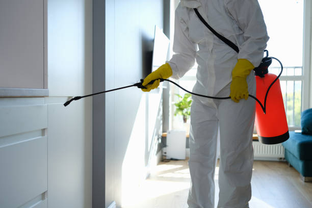 Best Emergency Mold Removal  in Riverside, IA