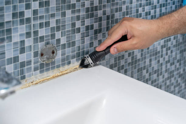 Trusted Riverside, IA Mold Removal Experts