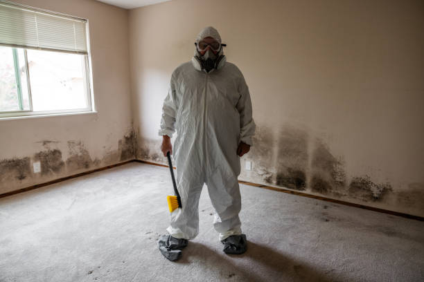Best Commercial Mold Removal  in Riverside, IA